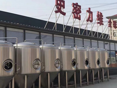 新龙镇精酿啤酒设备厂—市场规模与跨界新需求